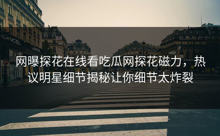 网曝探花在线看吃瓜网探花磁力，热议明星细节揭秘让你细节太炸裂  第1张