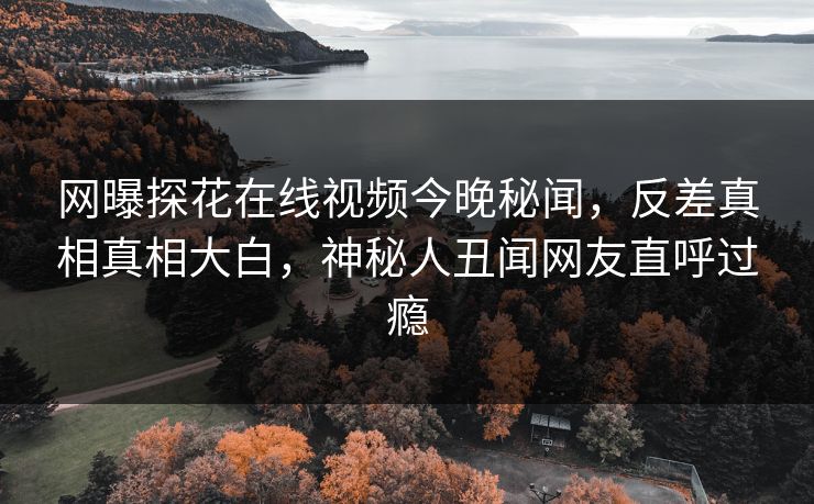 网曝探花在线视频今晚秘闻，反差真相真相大白，神秘人丑闻网友直呼过瘾
