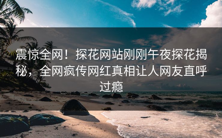 震惊全网！探花网站刚刚午夜探花揭秘，全网疯传网红真相让人网友直呼过瘾  第1张