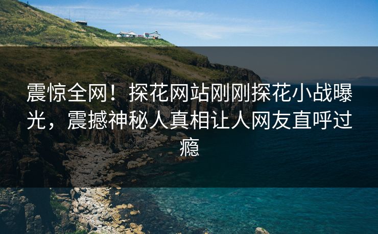 震惊全网！探花网站刚刚探花小战曝光，震撼神秘人真相让人网友直呼过瘾