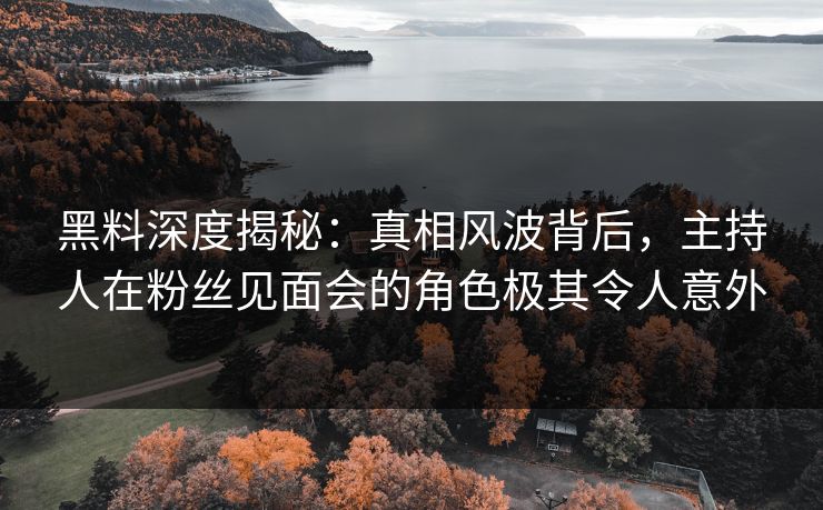 黑料深度揭秘：真相风波背后，主持人在粉丝见面会的角色极其令人意外  第1张