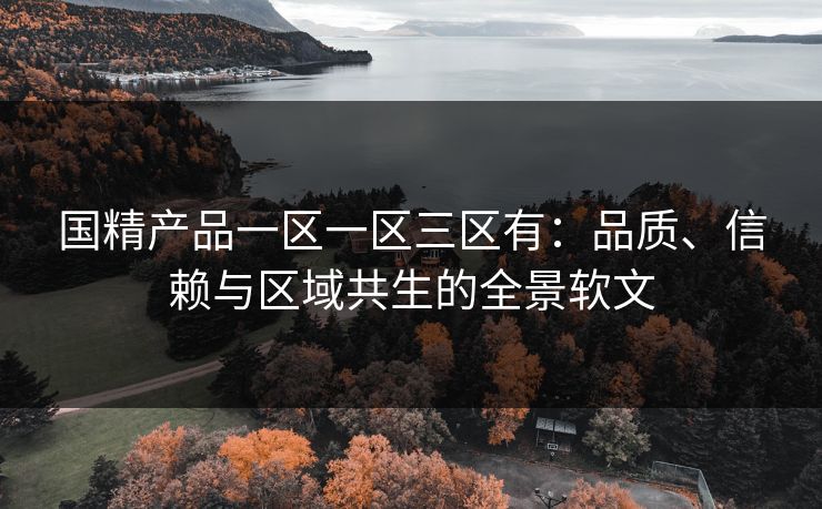 国精产品一区一区三区有：品质、信赖与区域共生的全景软文  第1张