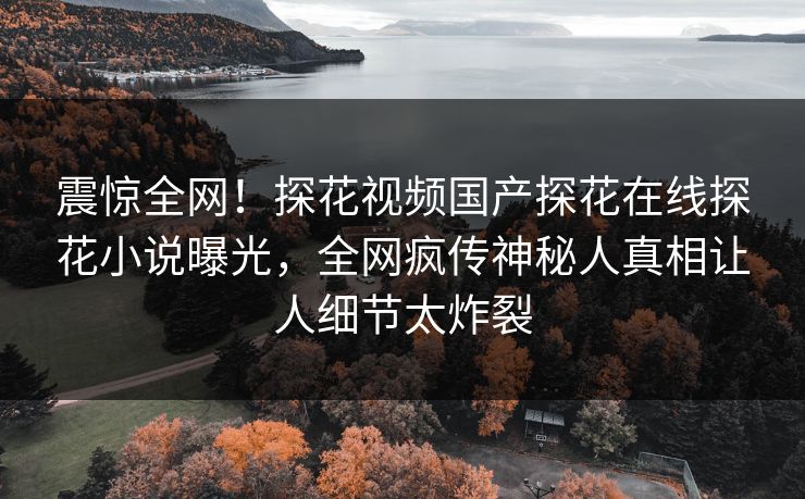 震惊全网！探花视频国产探花在线探花小说曝光，全网疯传神秘人真相让人细节太炸裂