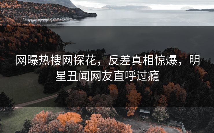 网曝热搜网探花，反差真相惊爆，明星丑闻网友直呼过瘾  第1张