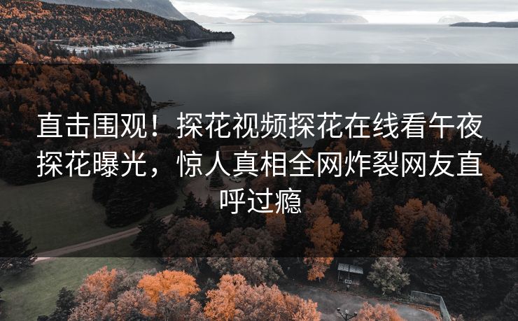 直击围观！探花视频探花在线看午夜探花曝光，惊人真相全网炸裂网友直呼过瘾
