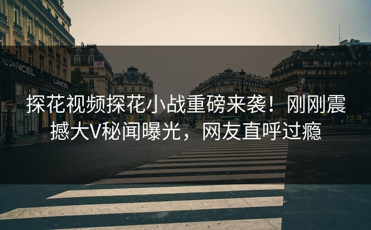 探花视频探花小战重磅来袭！刚刚震撼大V秘闻曝光，网友直呼过瘾  第1张