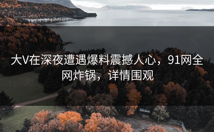 大V在深夜遭遇爆料震撼人心，91网全网炸锅，详情围观