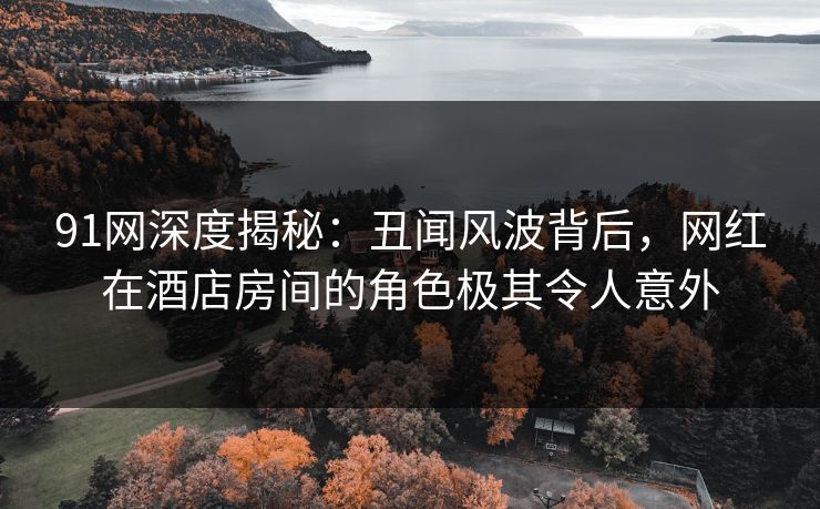 91网深度揭秘：丑闻风波背后，网红在酒店房间的角色极其令人意外