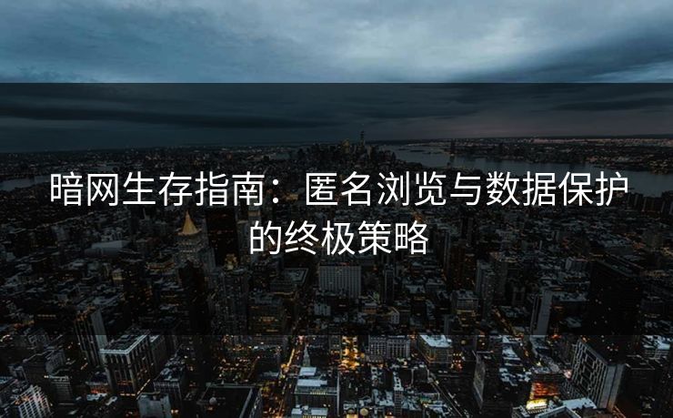 暗网生存指南：匿名浏览与数据保护的终极策略